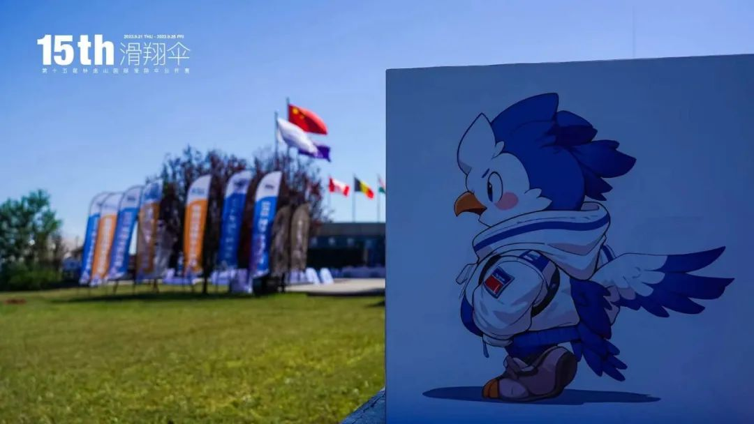 图片7
